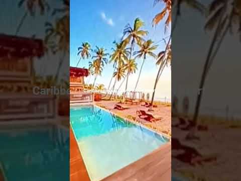 Trading city lights for caribbean nights #PuertoViejo#Costa Rica#Limon#Caribbean Vibe#Purs Vida