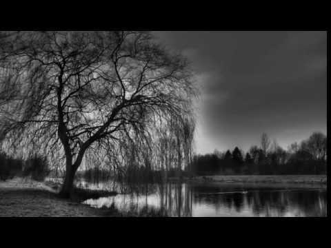 Mırıldandığım Şeylersin (Haydar Ergülen)