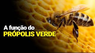 Testei por 30 dias: PRÓPOLIS VERDE