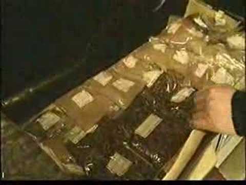 Studio Julmahuvi - Karjala