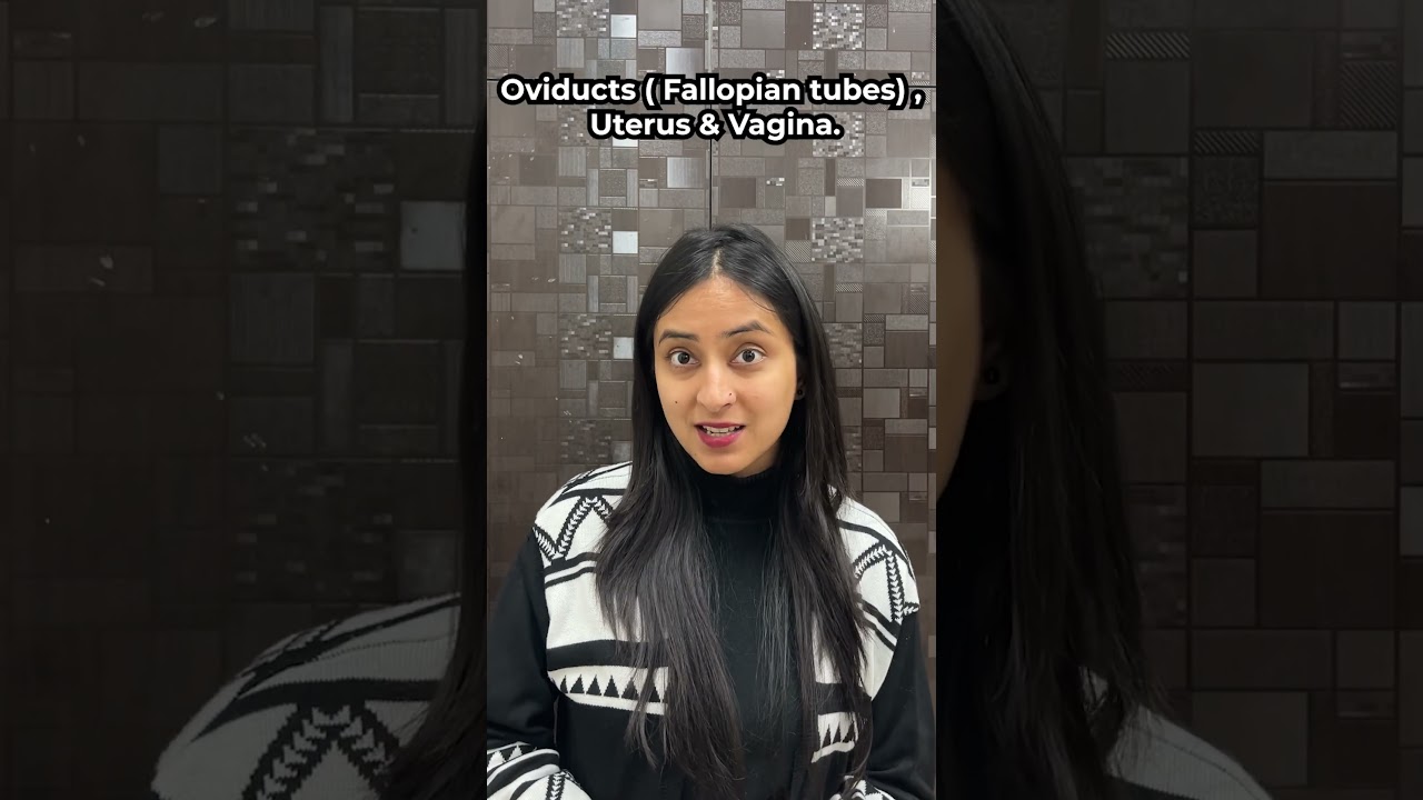 The Female Reproductive System #neet #biology #shorts