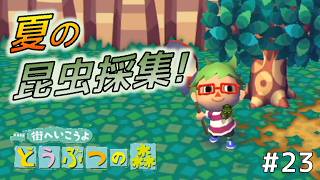 Day23　夏だし昆虫採集しよう！(昼編)【街へいこうよどうぶつの森】