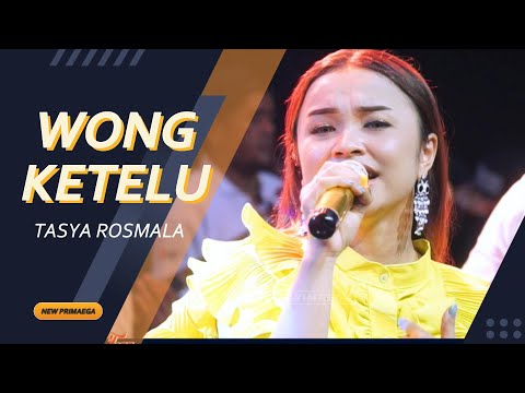 WONG KETELU - TASYA ROSMALA "NEW PRIMAEGA" || "CORO PUTIH" DK.KALENPANDAN,JATIMAKMUR-SONGGGOM-BREBES