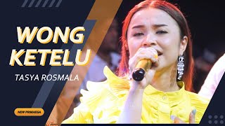 Download lagu WONG KETELU - TASYA ROSMALA 'NEW PRIMAEGA' || 'CORO PUTIH' DK.KALENPANDAN,JATIMAKMUR-SONGGGOM-BREBES mp3