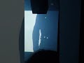Front 242 Intro/WYHIWYG - Union Transfer, Philadelphia - September 7th, 2024