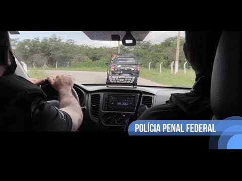 Polícia Penal Federal - PPF