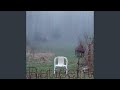Joey's Song