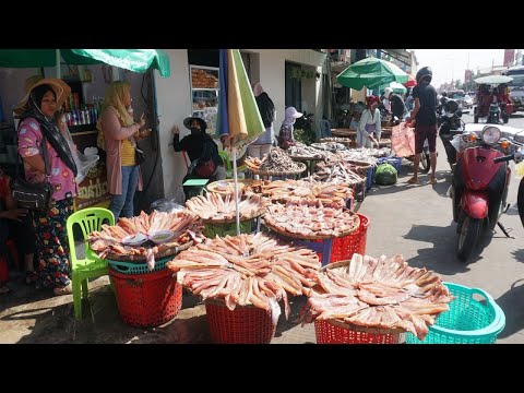 The Big Site Distribute Fish @Kilo 9 - Morning Daily LifeStyle of Vendors Selling Fish, Dry Fish