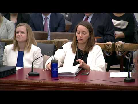 FY2019 Budget Hearing - Five Year Plan 3-26-2018