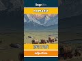 nomadic - 游牧民族 video thumbnail
