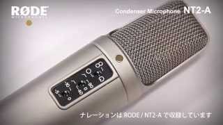 RODE ( ロード ) NT2-A 送料無料 | サウンドハウス RODE ( ロード ) NT2-A 送料無料 | サウンドハウス