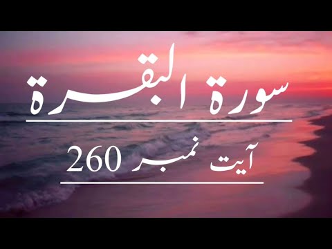 Surah - Al Baqarah Ayat no.260 With Urdu Translation.
