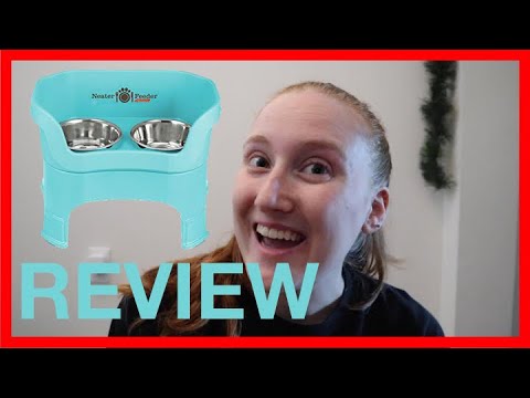 Neater Feeder HONEST Review - Is it Worth it?