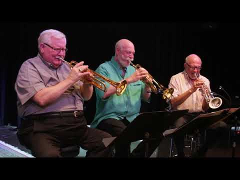 The Brave Matador - Ron Romm, Mike Vax, David Hickman, Avis Romm