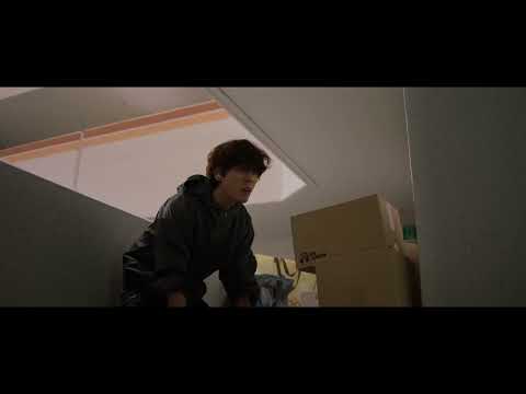 비디오 11