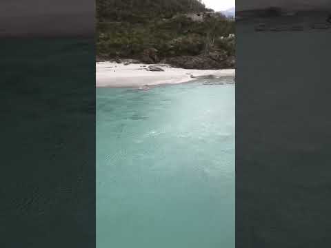 Abaseen Shangla dandai