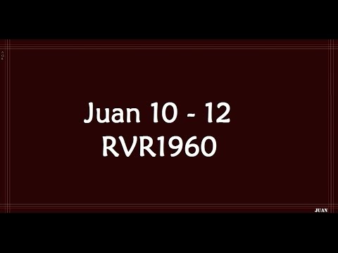 La Biblia en un año/Juan 10-12 (Audio, Letra) Día 90