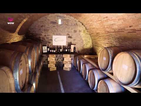 Cantine Guidi 1929 - Intro