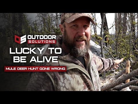 How a Mule Deer Saved Our Lives