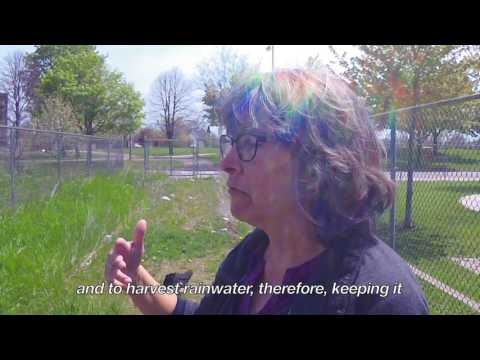 Reclaiming the Land - Jabril Faraj 3 of 6