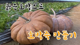 직접 딴 늙은호박으로 뜨끈한 '호박죽' 만들기!