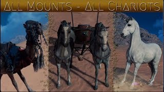 Assassin's Creed Origins All Mounts / All Chariots SHOWCASE