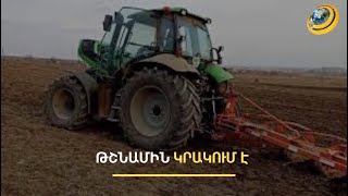 «Մեզ ասել են՝ փորձեք էդ բերքը հավաքել». Սարուշենի գյուղապետը բացառիկ մանրամասներ է հայտնել