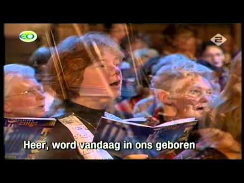 download lagu mp3 mp4 Jimco Zijlstra, download mp3 Jimco Zijlstra free download mp3, download mp3 Jimco Zijlstra