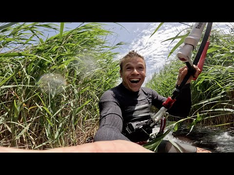 Look what I found! KEVVLOG