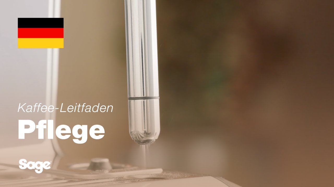 Reinigen des Dampfstabs und blockierter Löcher