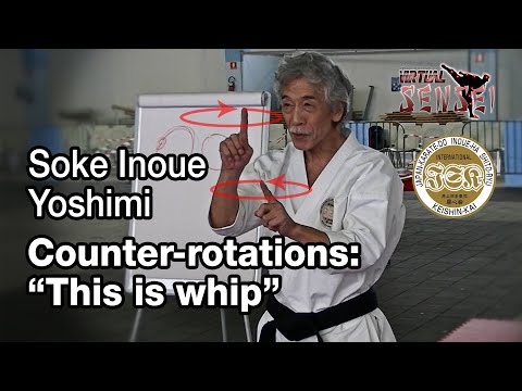 Soke Inoue Yoshimi - Counter-rotations: "This is whip" - Seminar Italy 2013