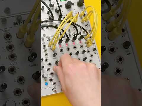 ALM Busy Circuits MT-EX2 Mega-Tang Expander image 2