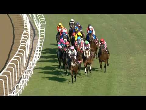 2021.07.03 Durban July (RSA) - Kommetdieding