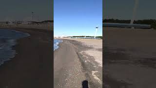 ただただ葛西臨海公園の浜辺を歩いてるだけの動画
