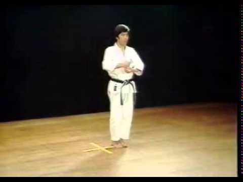 Chinte- Shotokan (SKIF) - Hirokazu Kanazawa