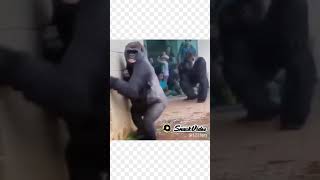 Download lagu Kata baba😅🤣 mp3 Download lagu Kata baba😅🤣 mp3