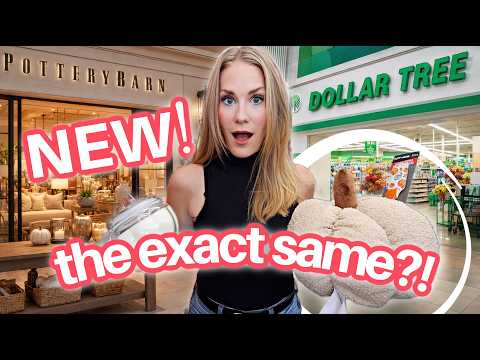 Why Is Dollar Tree Shipping So Expensive