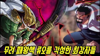 [원피스]지금까지 공개 된 패왕색 류오를 각성한 최강자들 TOP 7 (로저/흰수염/샹크스/루피) 원피스 1055화 기준