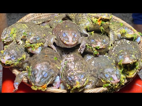 Country Style Yummy Steam Frog Cooking
