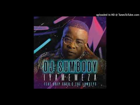 DJ Sumbody - Iyamemeza Feat. Drip Gogo & The Lowkeys