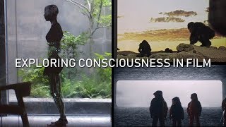 The Problem of Other Minds – How Cinema Explores Consciousness