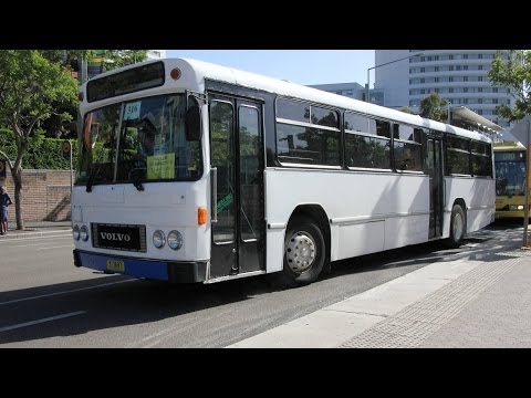 Casula/Kingsgrove Bus Co. M/O 7697 - Volvo B10M Mk 2 (ZF/Custom Coaches Mk 83)