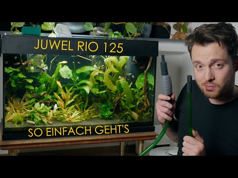 So pflege ich mein Juwel Rio Aquarium (Wasserwechsel & Filterreinigung)