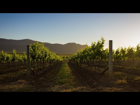 Victorian wine among the world's best