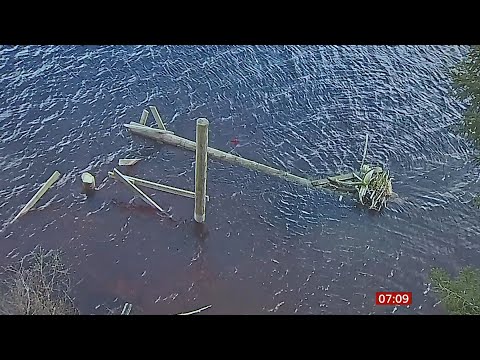 Osprey nest cut down a day after egg was laid (UK) - BBC News - 2nd May 2021