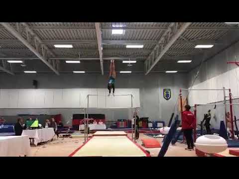 Agnes Suto-Tuuha - Bars - GK2018