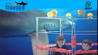 DIA 2 Expo Tiburon159