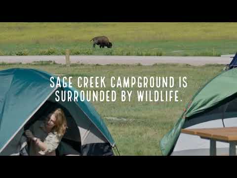 Campground overview