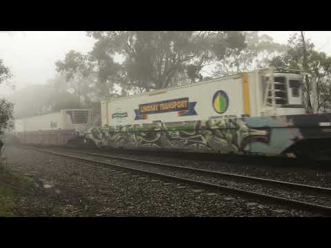 3MP5 in the fog at Belair