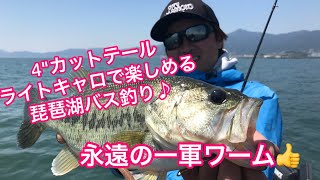 冨沢真樹 撮影  永遠の一軍ワームの4"カットテールキャロで楽しめる琵琶湖 バス釣り♪